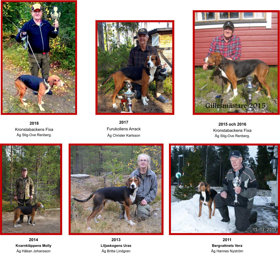 2014 Kvarnkläppens Molly Åg Håkan Johansson 2013 Liljaskogens Urax Äg Britta Lindgren 2011 Bergvattnets Vera Äg Hannes Nyström 2015 och 2016 Kronstabackens Fixa Äg Stig-Ove Renberg.   2017 Furukollens Arrack  Äg Christer Karlsson    2018 Kronstabackens Fixa Äg Stig-Ove Renberg.